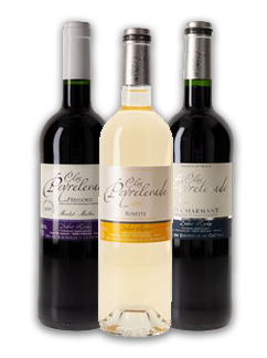 Sale of wine (24) Périgord Roches Bergerac Vignobles in in 
